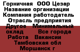 Горничная. ООО Цезар › Название организации ­ Компания-работодатель › Отрасль предприятия ­ Другое › Минимальный оклад ­ 1 - Все города Работа » Вакансии   . Тамбовская обл.,Моршанск г.